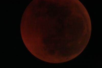 img_8279.jpg